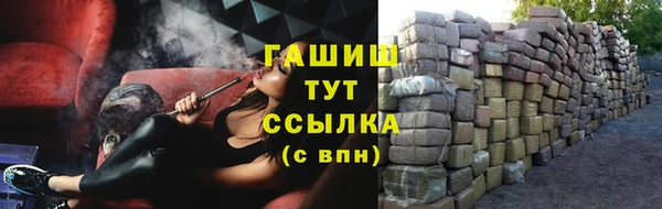 гидра Алексеевка