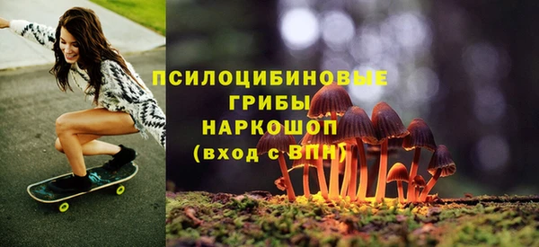 гидра Алексеевка