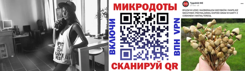Псилоцибиновые грибы MAGIC MUSHROOMS  blacksprut вход  Зеленоградск 